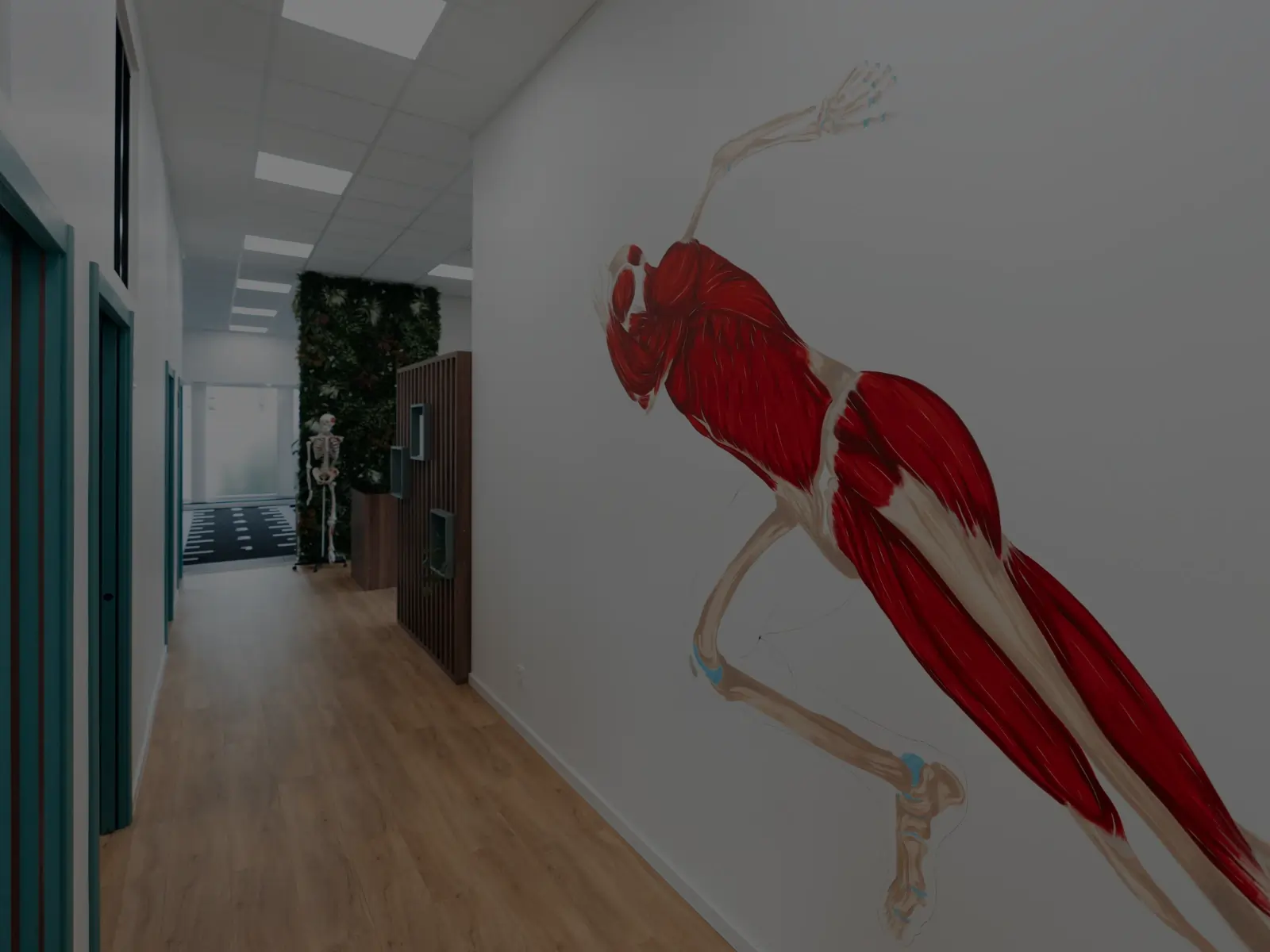 Cabinet de kinésithérapie sport Trimouv