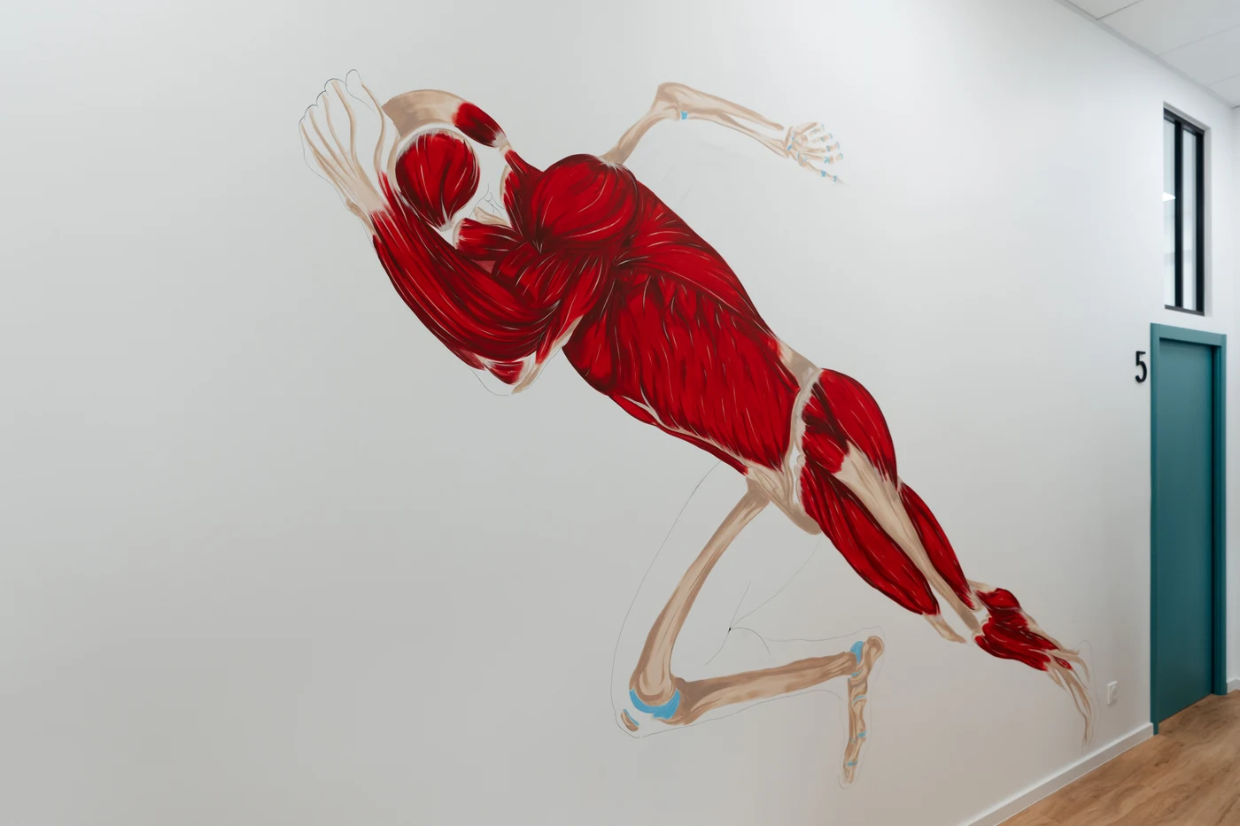 Fresque anatomique d’un coureur peinte sur le mur d’un couloir de cabinet de kinésithérapie, à côté de la porte d’un box de soin